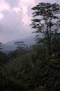 DSC_0361 Misty Vista 2 * 2000 x 3008 * (1.5MB)